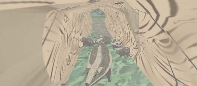 shelter 2