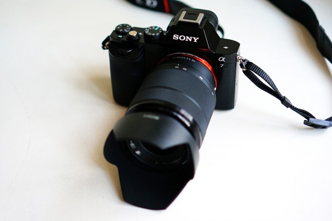 https://ocs-pl.oktawave.com/v1/AUTH_2887234e-384a-4873-8bc5-405211db13a2/spidersweb/2013/11/Sony-A7-1-650x432.jpg