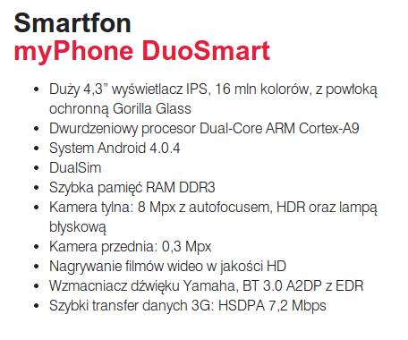 biesronka internet