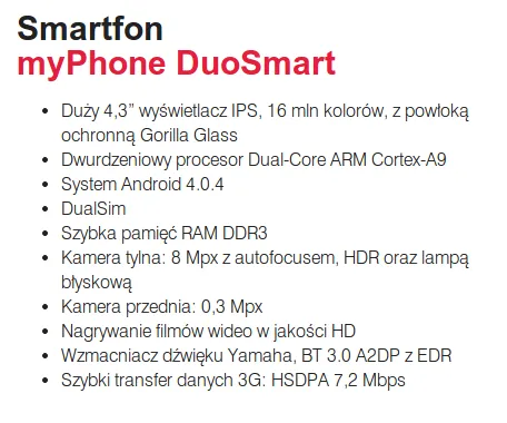 biesronka internet 