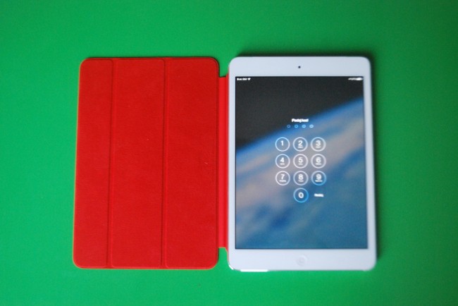 iPad_mini_r19 