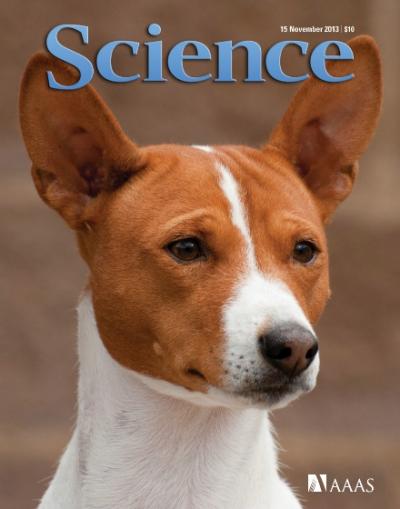 science_dog