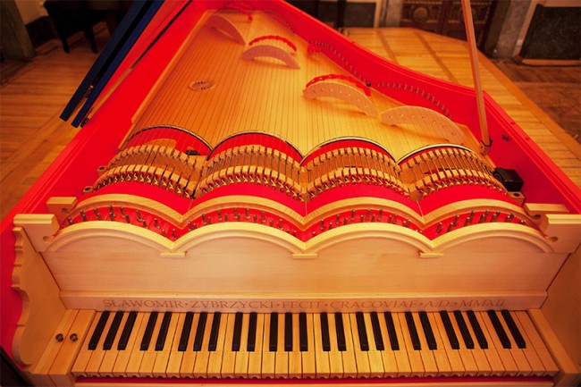 viola-organista