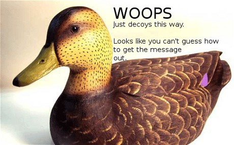 cicada-3301-duck