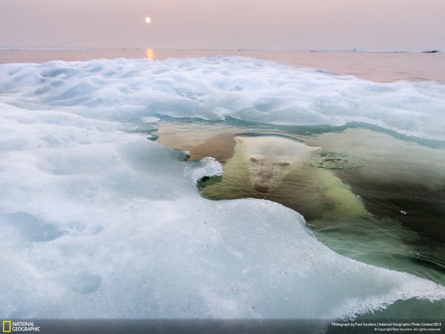 national-geographic-2013-1jpg