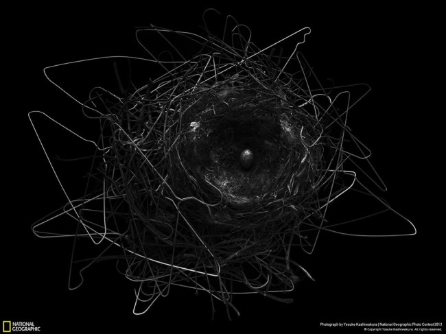national-geographic-2013-4