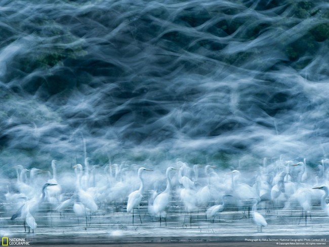 national-geographic-2013-5