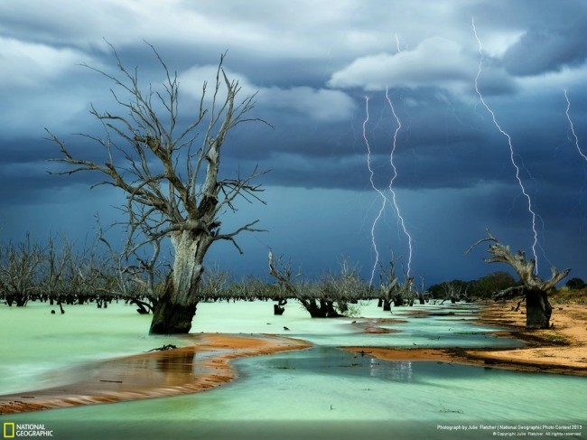 national-geographic-2013-6