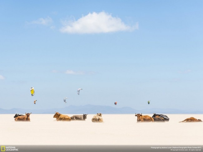 national-geographic-2013-9
