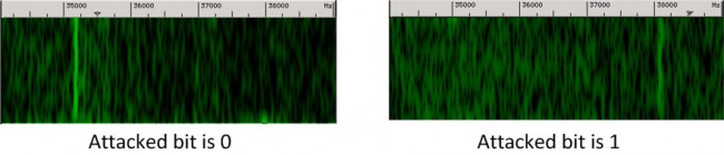 web_bit-extraction