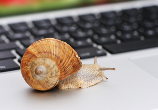 wolny internet