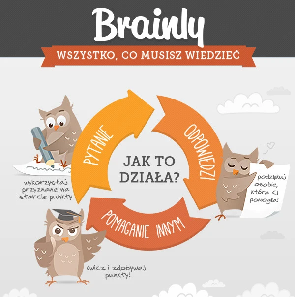 brainly1 
