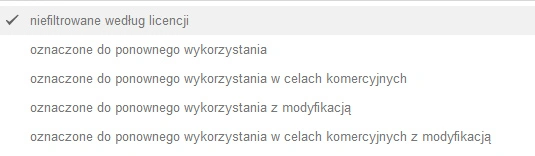 google-prawa-uzytkownika-2 