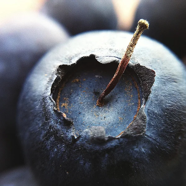 mobile-photography-awards-2013-19