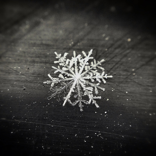 mobile-photography-awards-2013-6