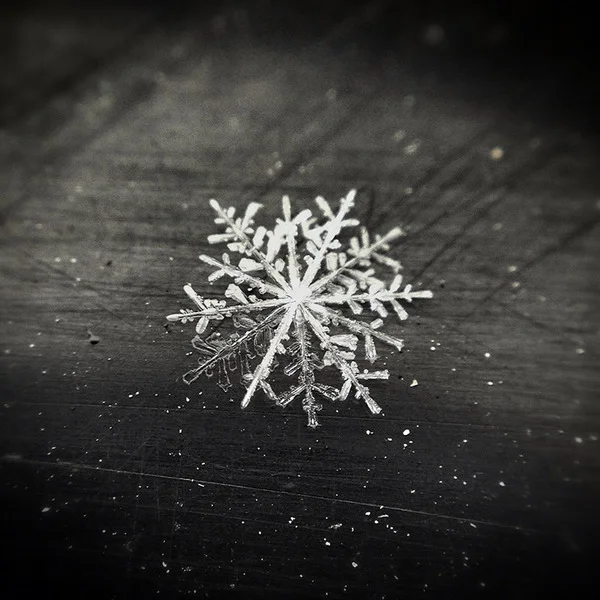 mobile-photography-awards-2013-6
