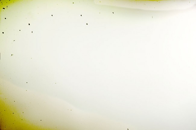 nikon d600 1