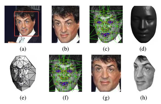 DeepFace3 