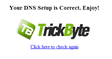 dns_check