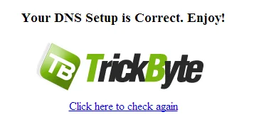 dns_check