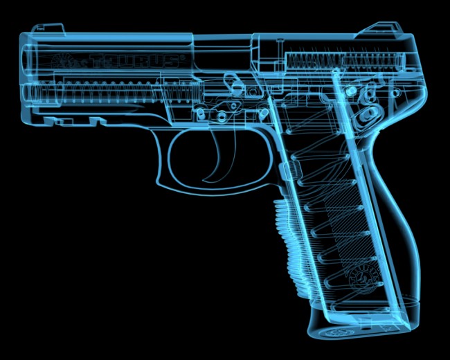 gun1 