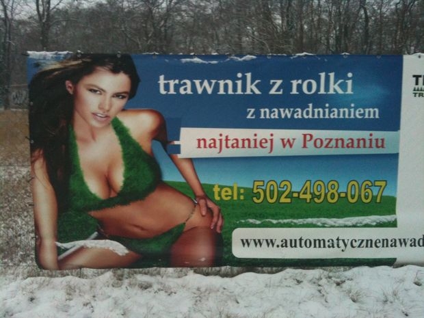 trawnik-z-rolki