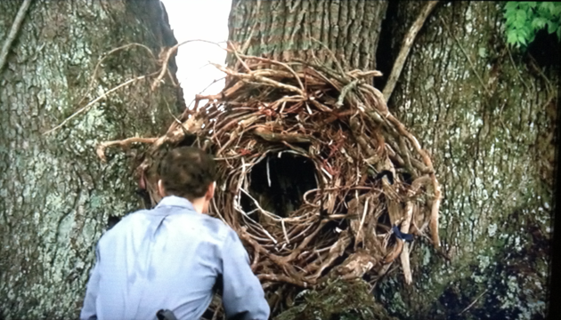 true detective – time circle