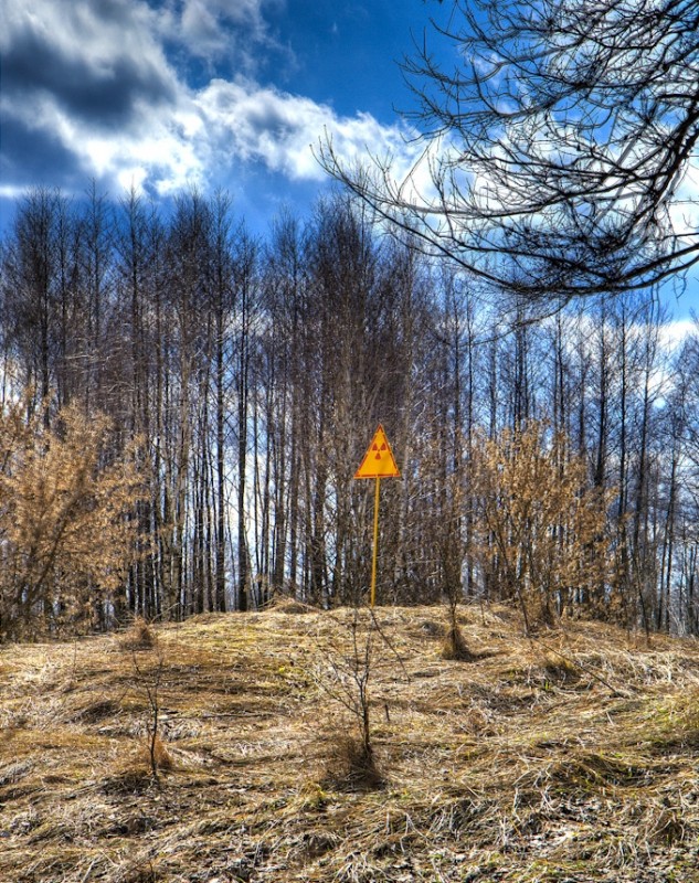 Red_Forest_Hill