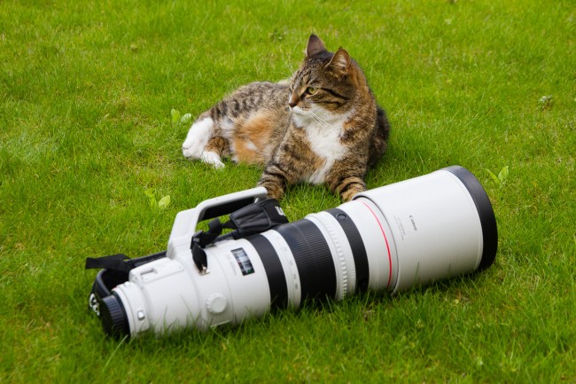 canon obiektyw 3 