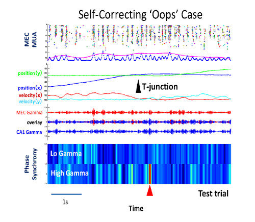 fig3_en