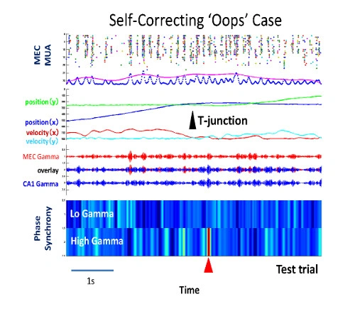fig3_en
