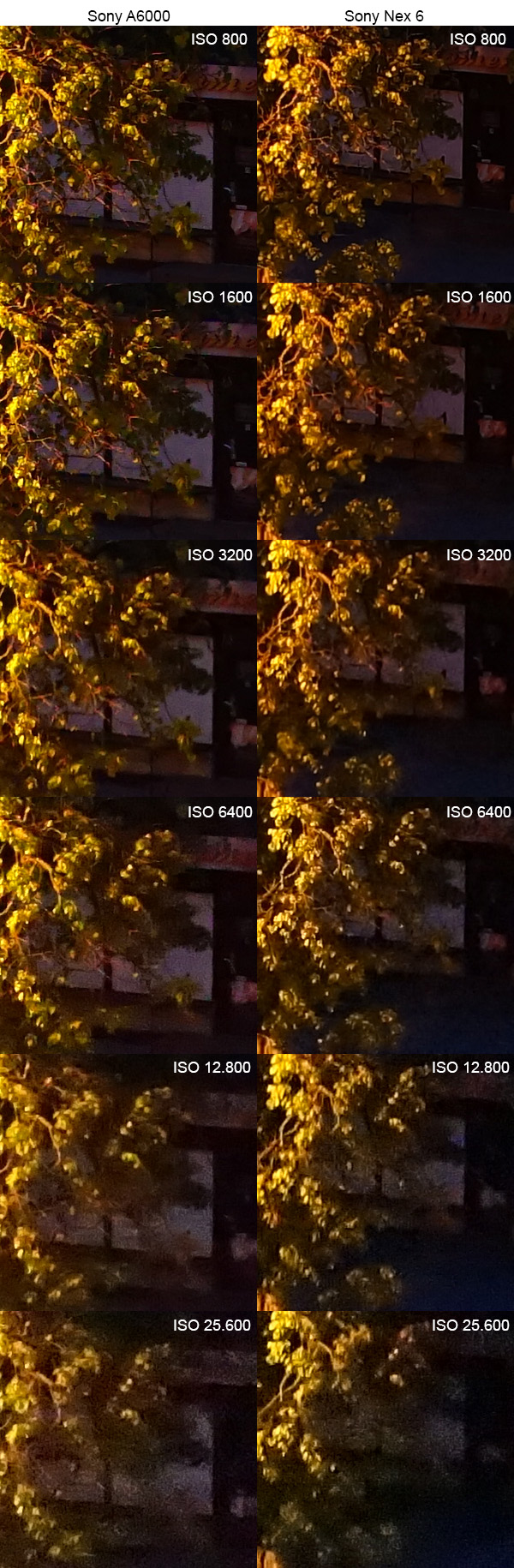 Sony A6000 test ISO 