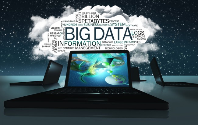 polskie firmy big data