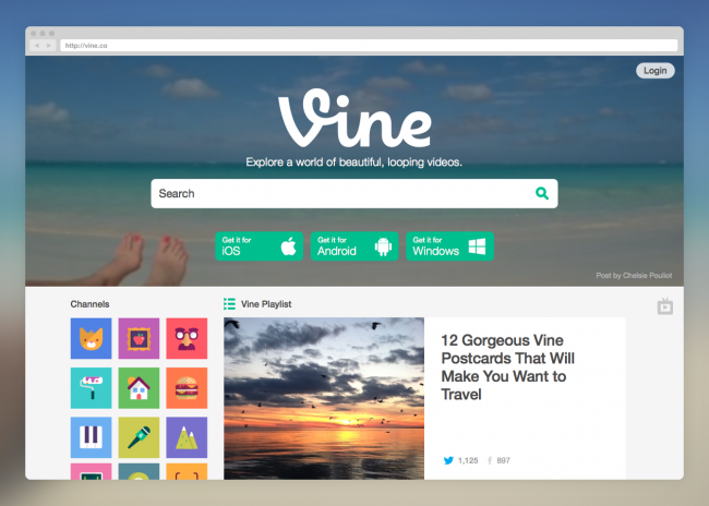 vine class="wp-image-186043" 