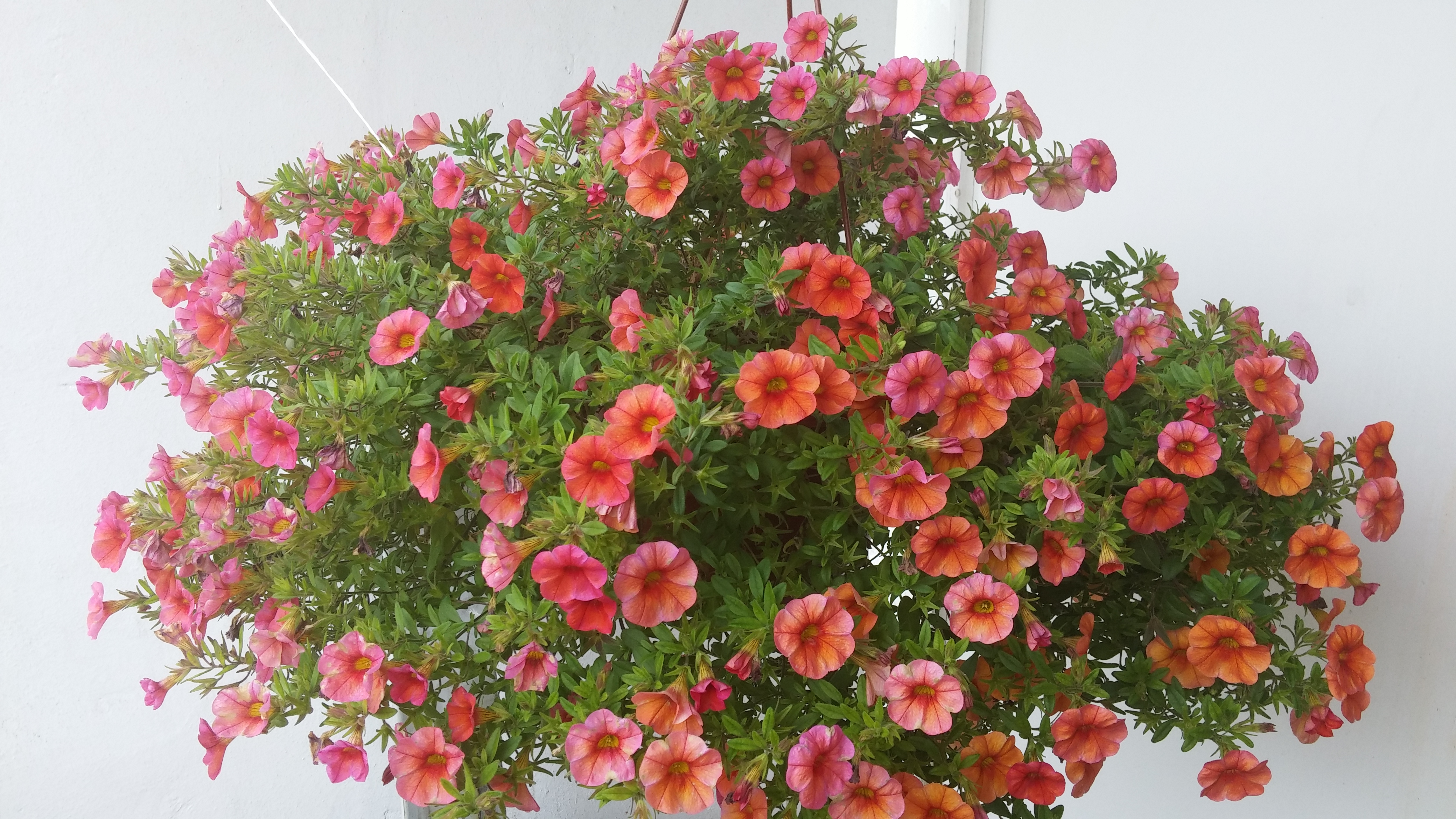 20140630_130812 class="wp-image-211902" 