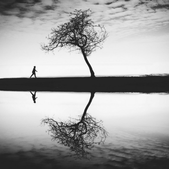 53-COCU-LIU-2ndTrees-710×710