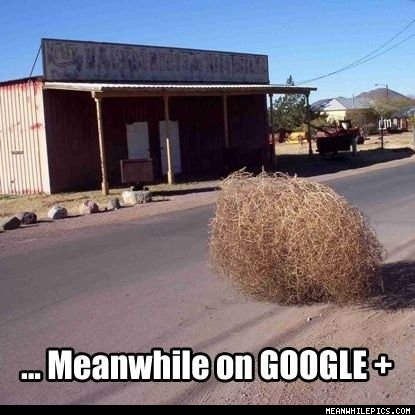 Meanwhile_On_Google_ class="wp-image-210416" 