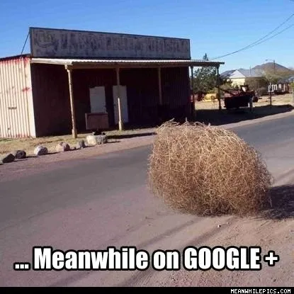 Meanwhile_On_Google_