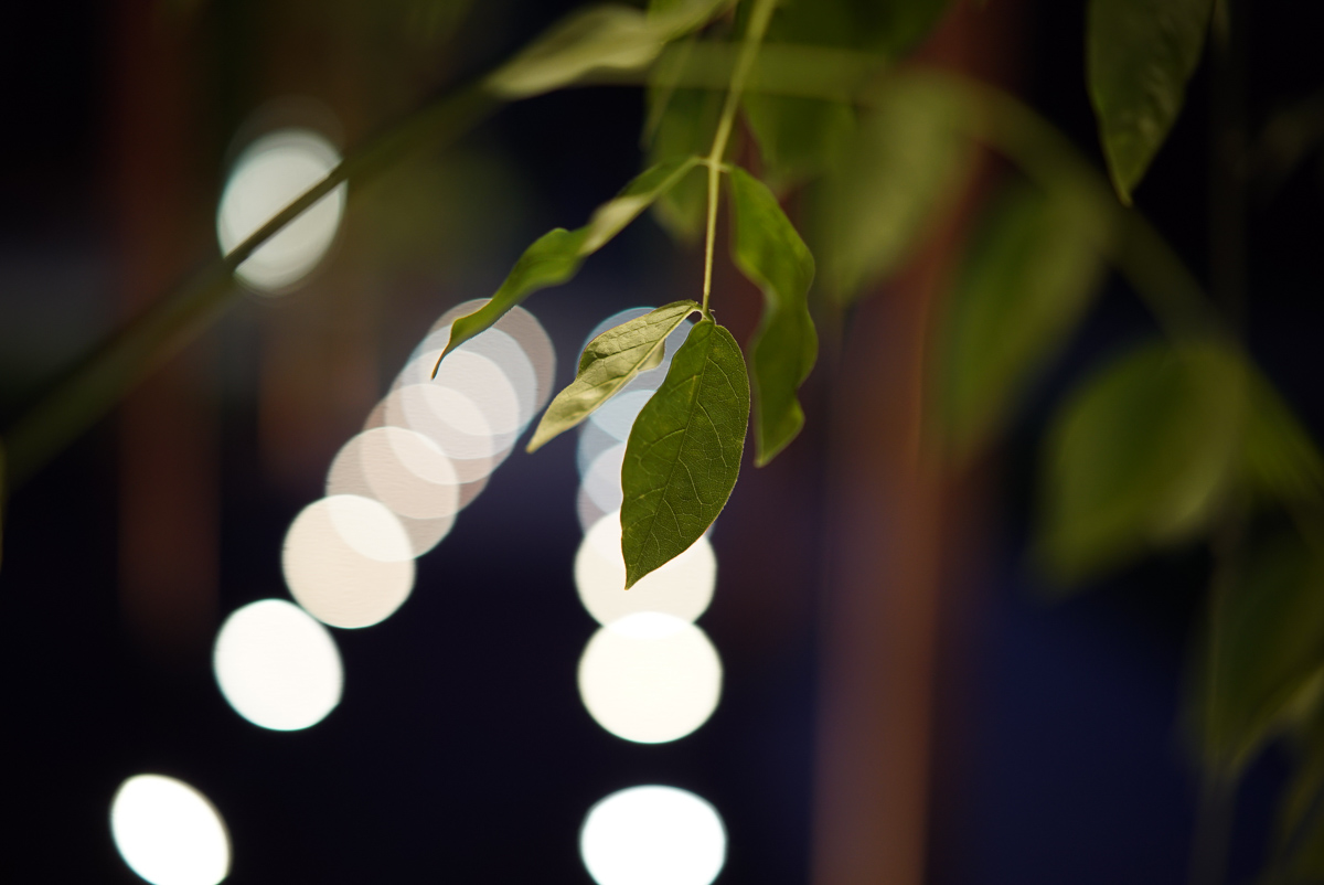 Sony A7s (8 of 14) 