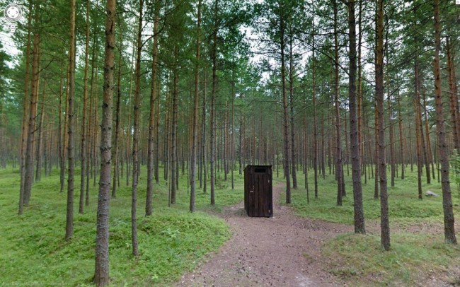 a-lone-cabin-in-a-forest