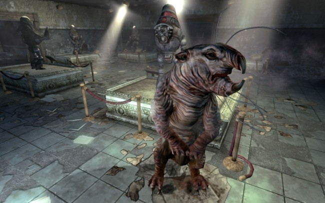 fallout 3 rat 