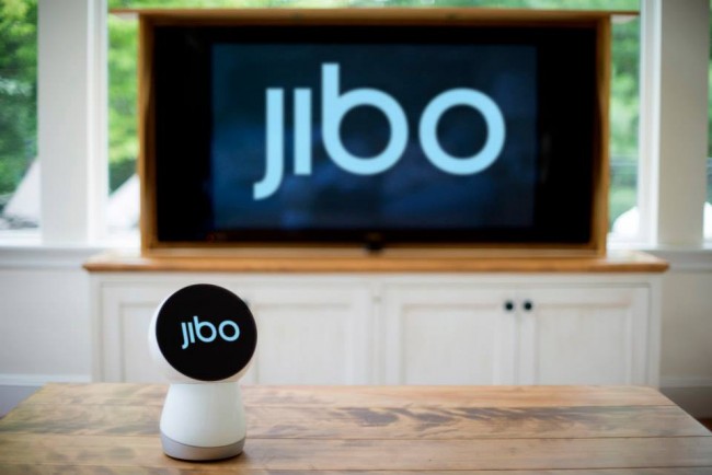 jibo 4