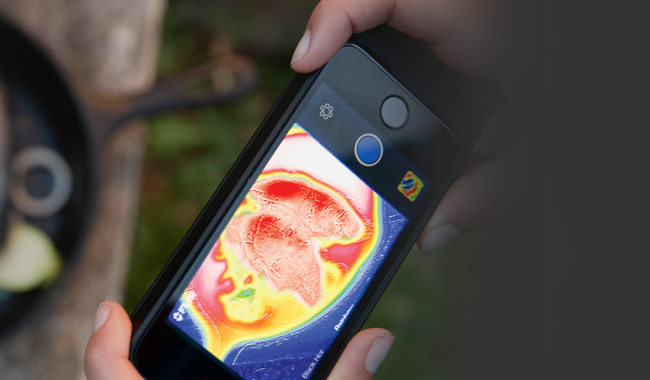 Flir One