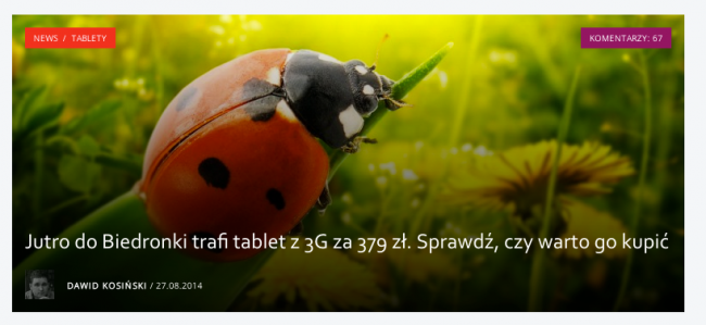 Spider_s_Web_-_Opinie_i_analizy_na_temat_technologii