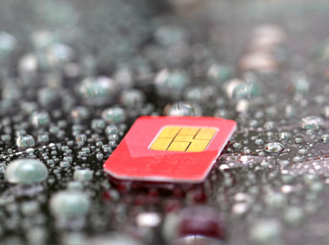 karta sim class="wp-image-234281" 