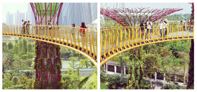 lens between us 09