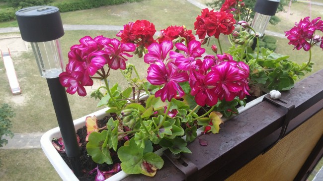 lg-g3-aparat (9) class="wp-image-234785" 