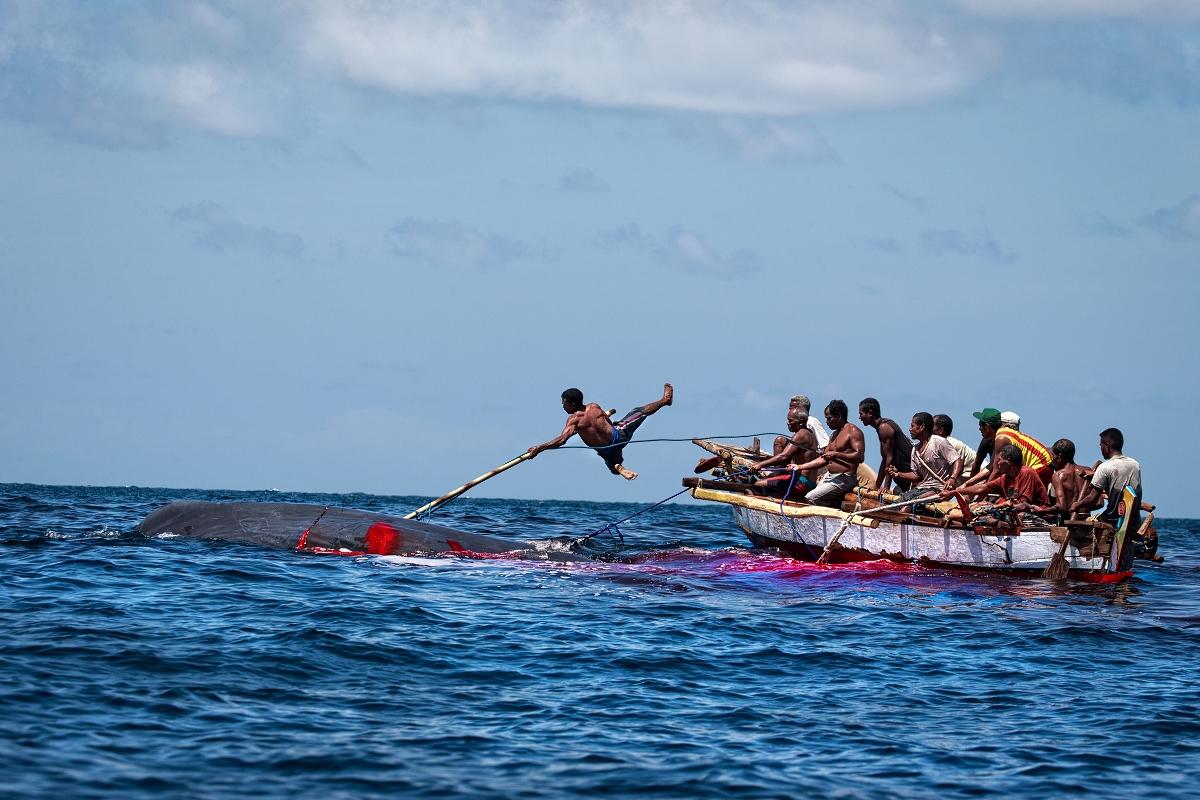 PIERWSZE MIEJSCE SEBASTIAN GORGOL &quot;POLOWANIE&quot; class="wp-image-252795" 