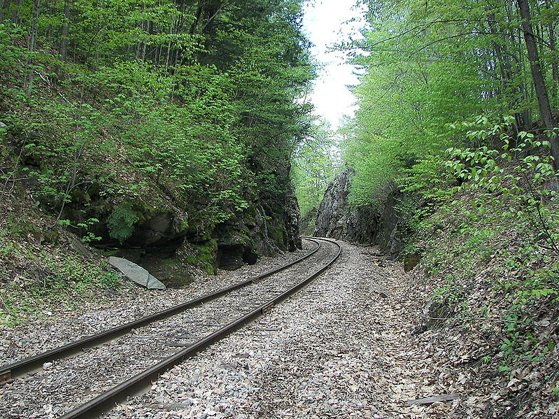 799px-RailroadCutCavendishVermontPresumedToBePhineasGageAccidentSite class="wp-image-250444" 