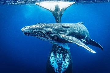 Jestem dumny, że takie zdjęcia robią Polacy – relacja z gali finałowej Wielkiego Konkursu Fotograficznego National Geographic